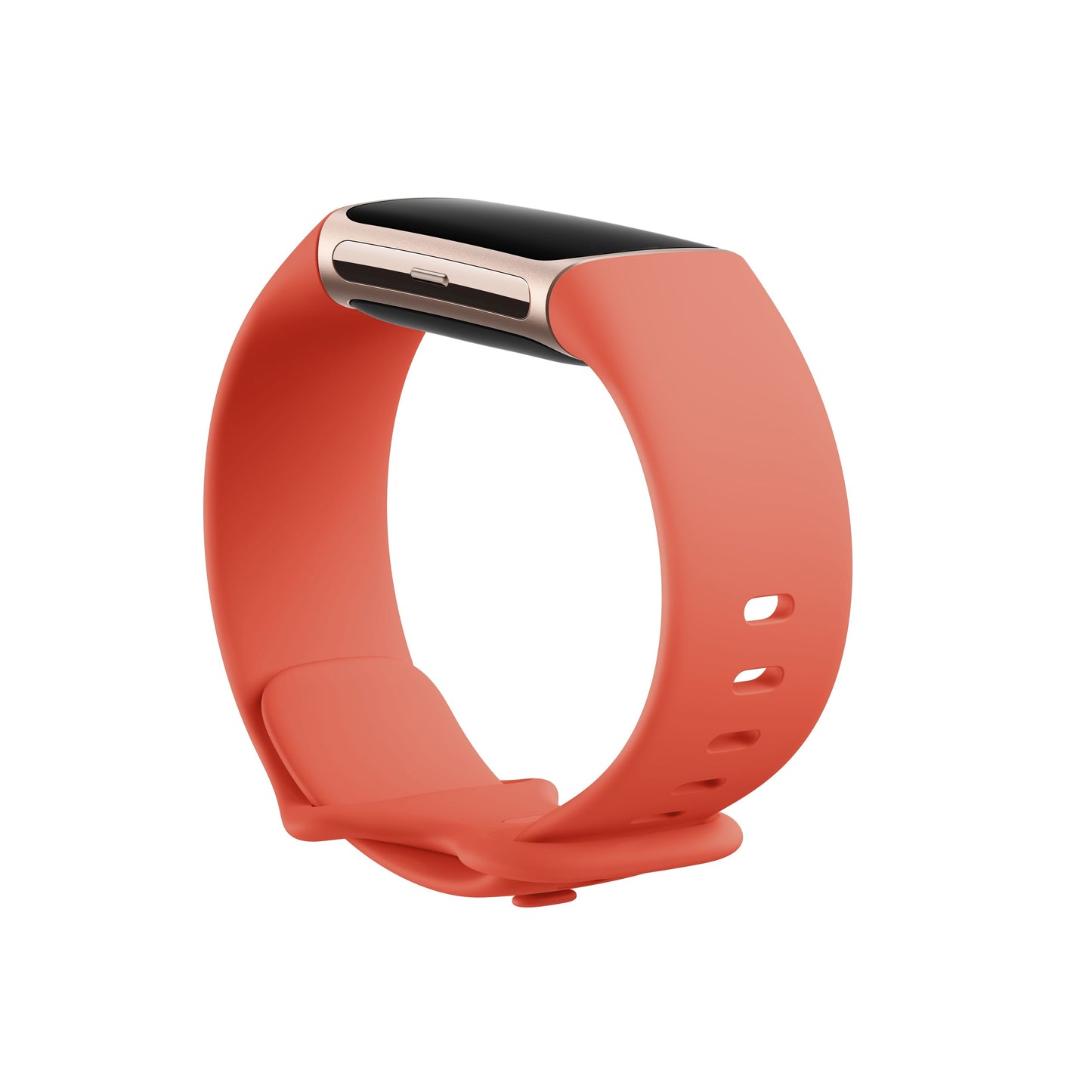 Google Fitbit Charge 6 (2025)